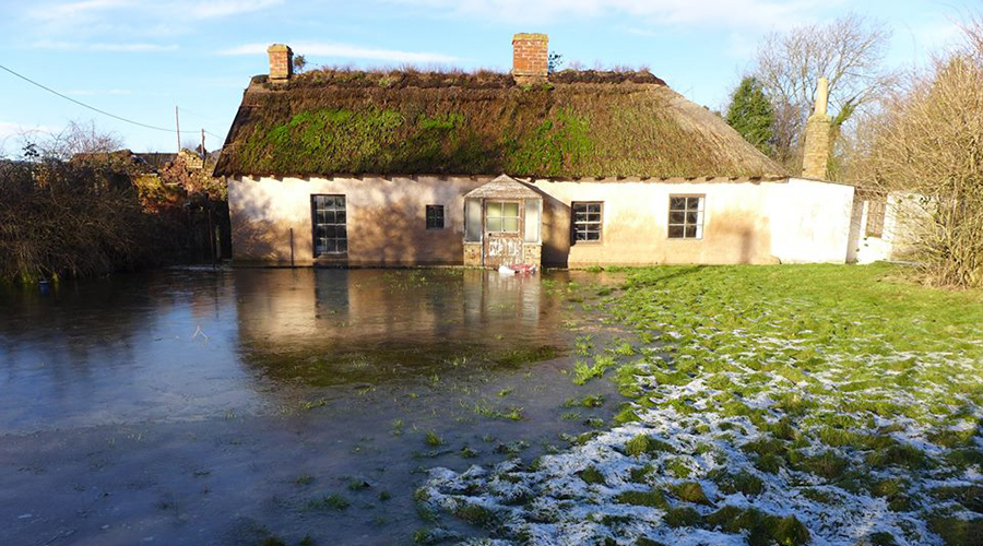 cottown mudwall house